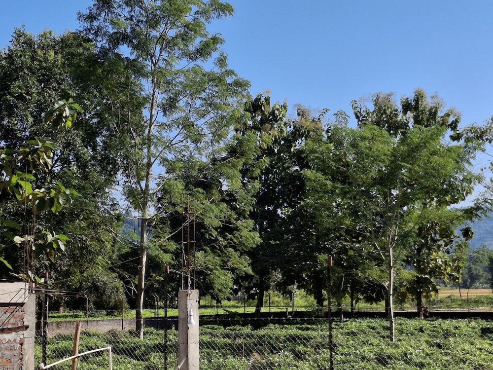 EJAAR HOMESTAY