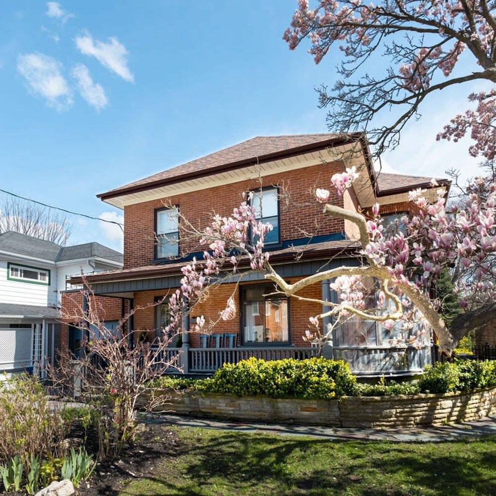 Merlot on Mary - Steps to Everything in Picton - Image 2