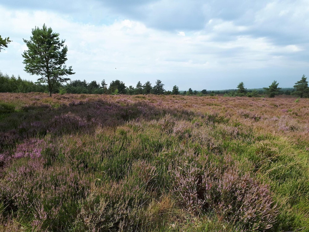 Holiday Home in Central Jutland