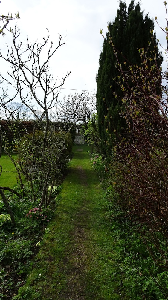 Photo 22