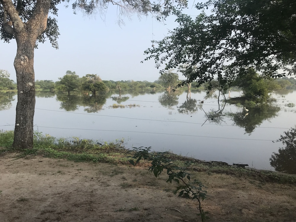 Elephant Lake Yala
