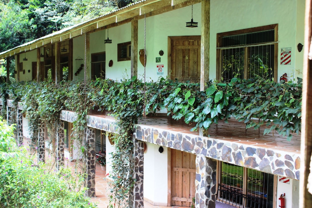 Bosque de Paz