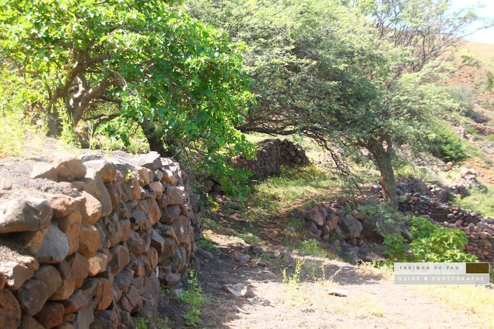 Farinha de Pau - Eco Rural Project