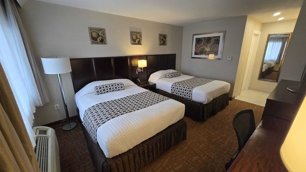 The Snoozzz Inn