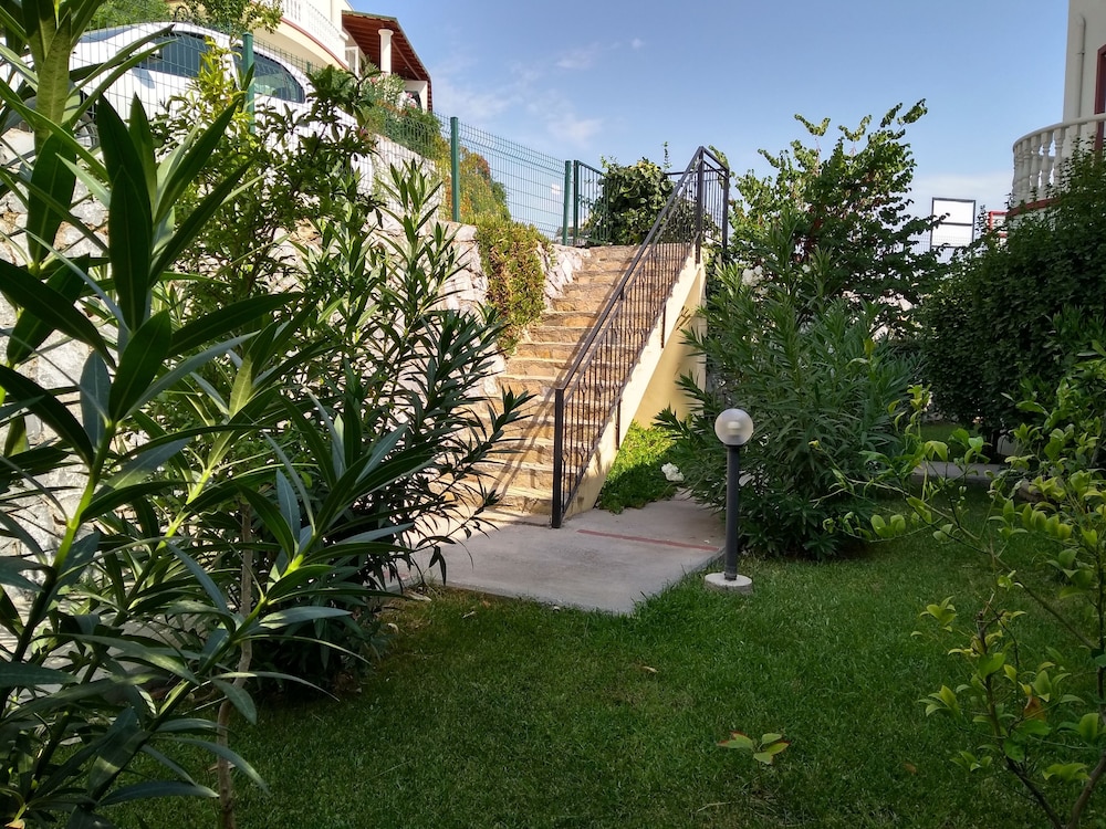 Photo 7