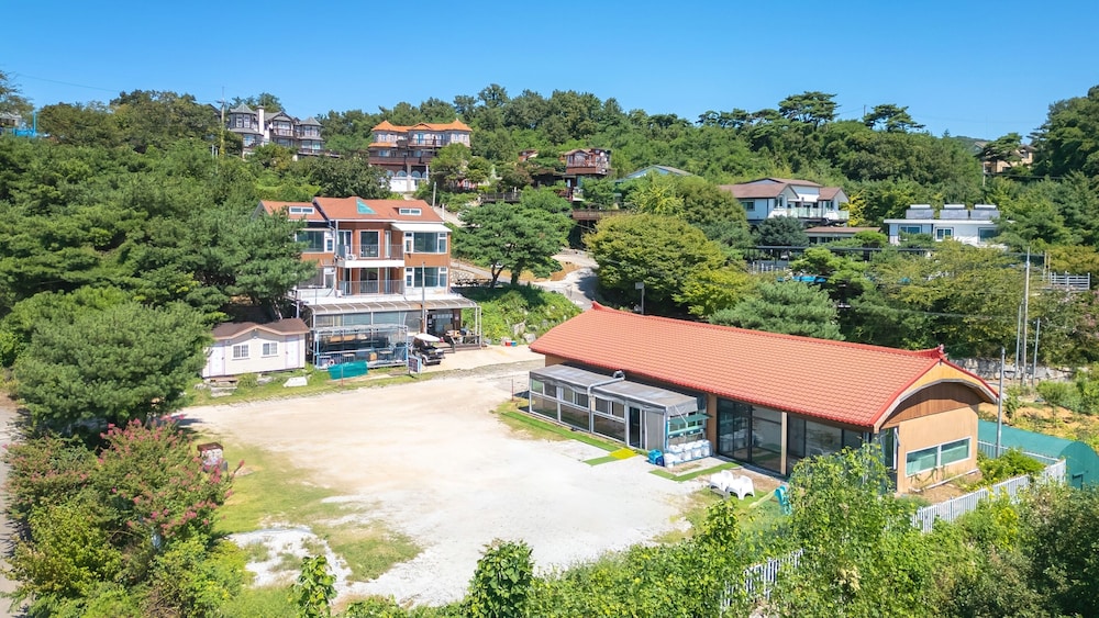 Photo 110