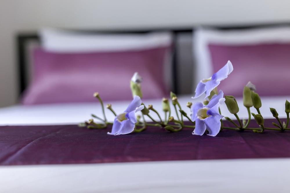 The Lantern Hostel and SPA