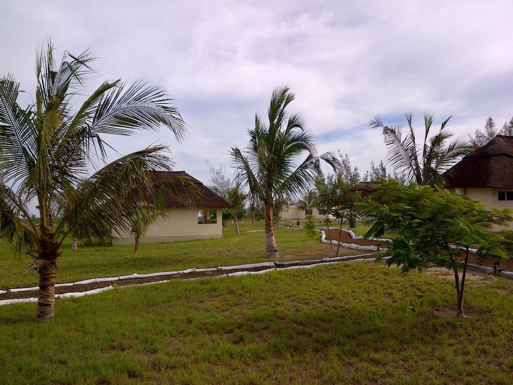 Photo 51