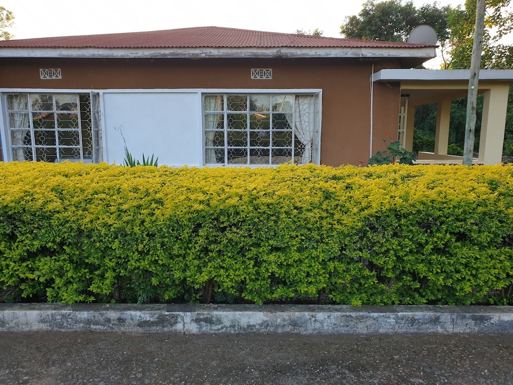 Photo 6