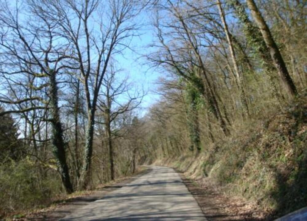Beautiful Apartment Close to Durbuy