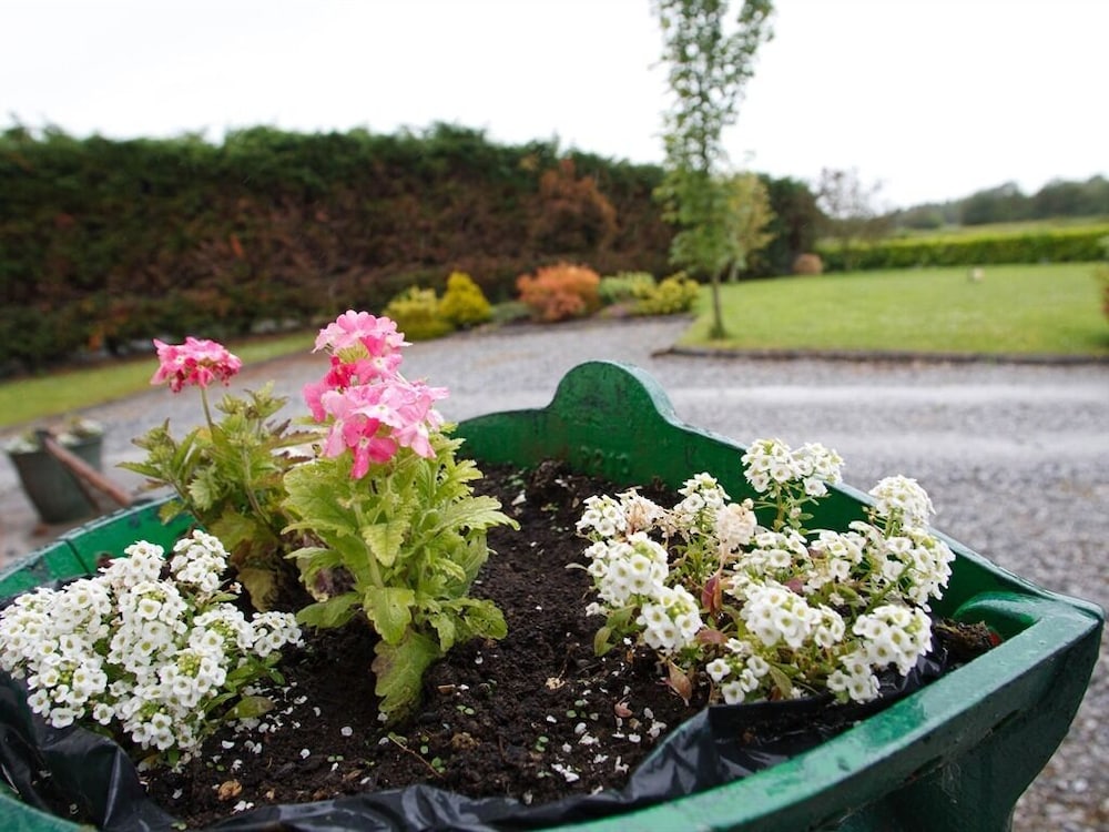 Dun Cromain Bed and Breakfast