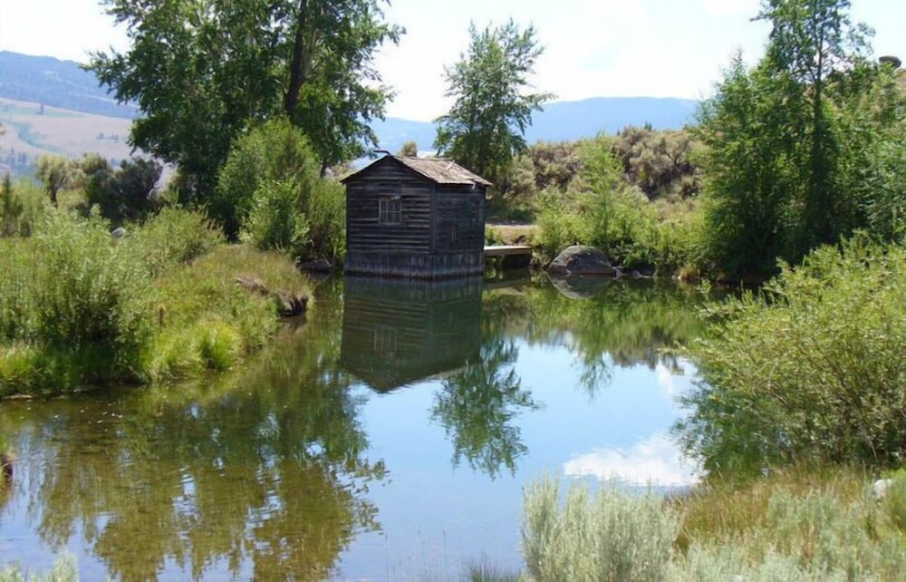 Yellowstone Mountain Cabins