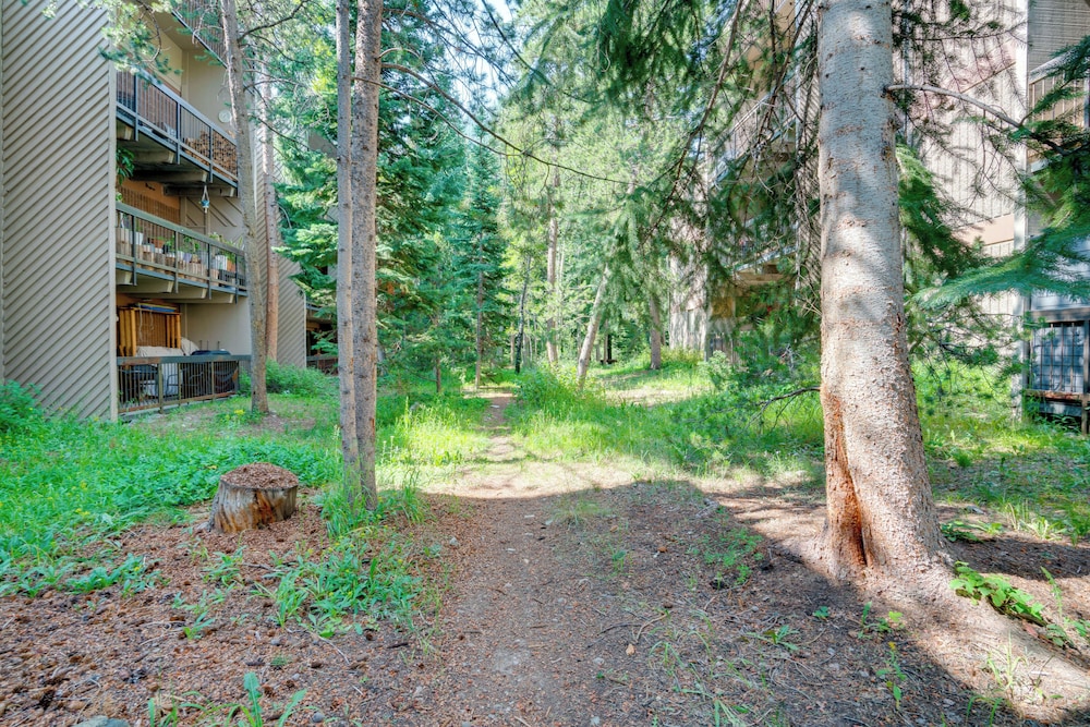 1 Mi to Dillon Reservoir: Condo Retreat in Frisco! view 5