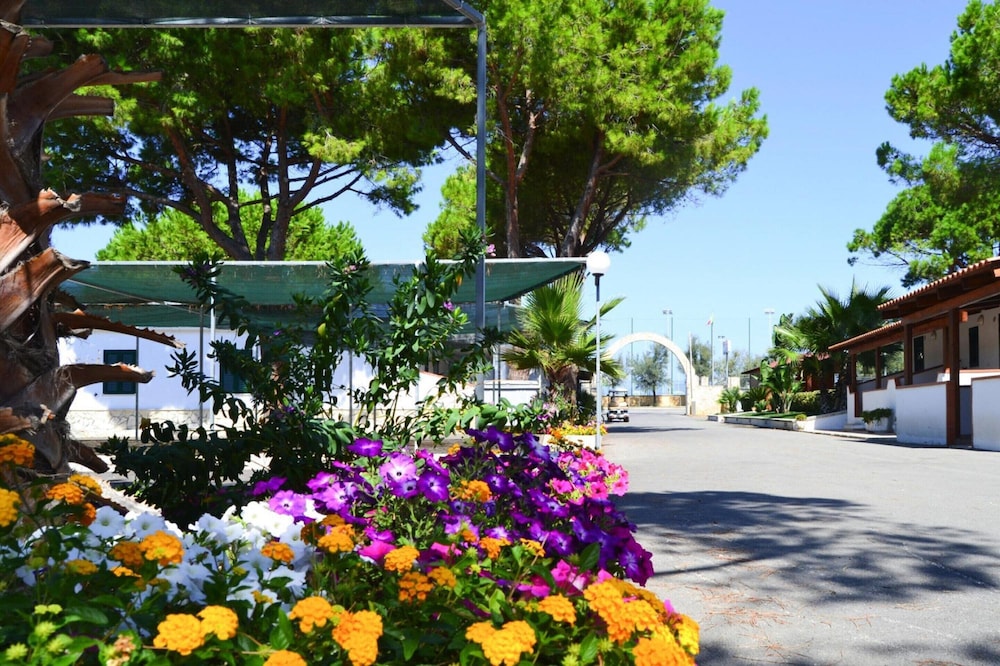 Bungalow in a Resort in Lido del Sole With Terrace