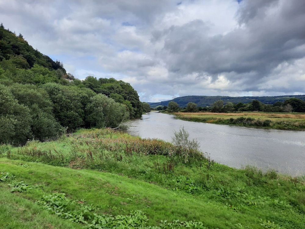 Gwynfryn