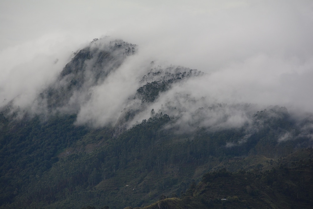Peak & Pillow
