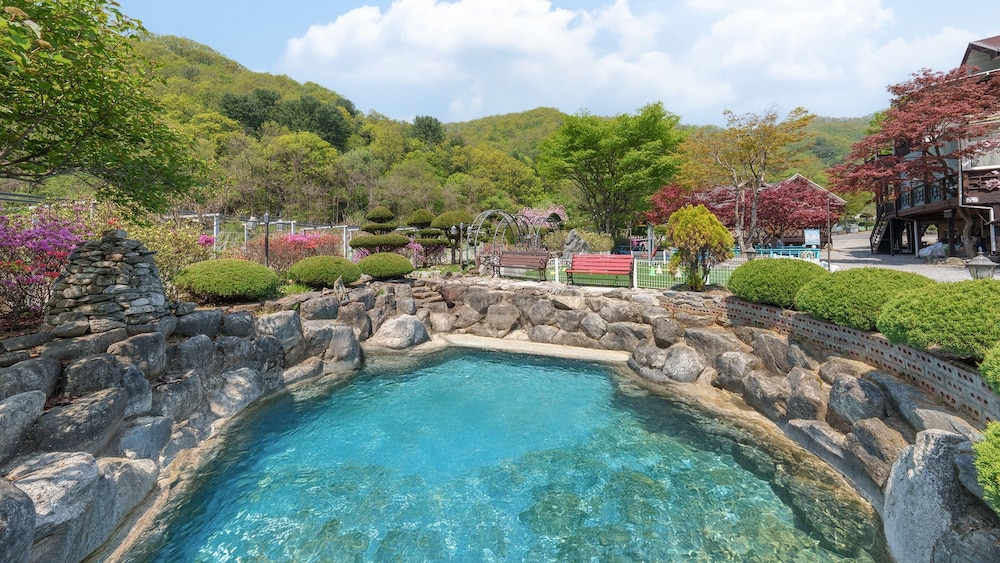Gapeong Eoneunal Spa Pet Pension
