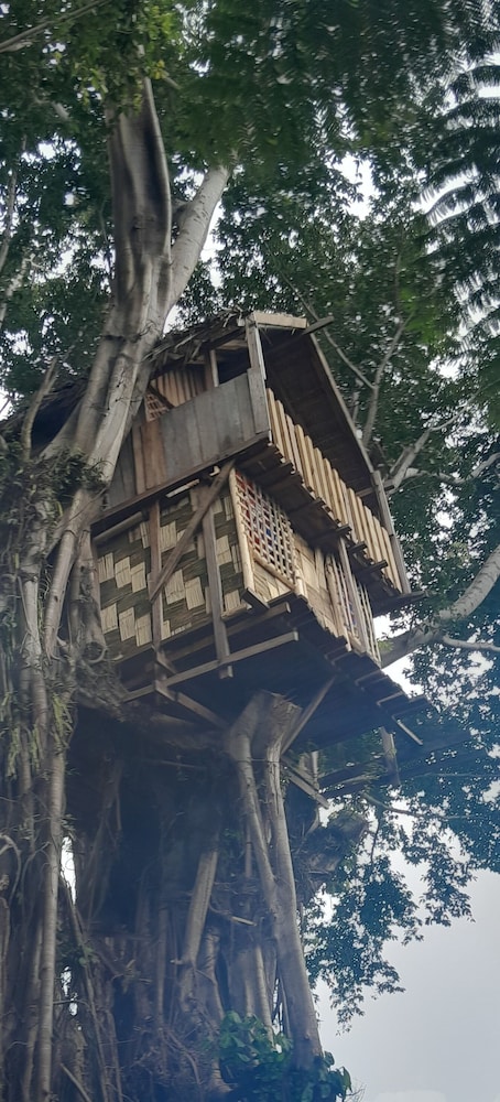 Glowing view tree house and Bangalow