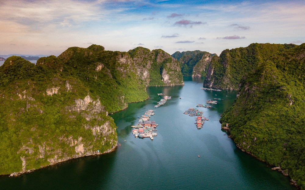 Heritage Line Violet cruise – Ha Long Bay & Lan Ha Bay - Image 3