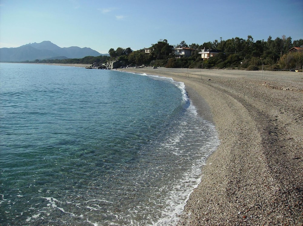 Photo 44