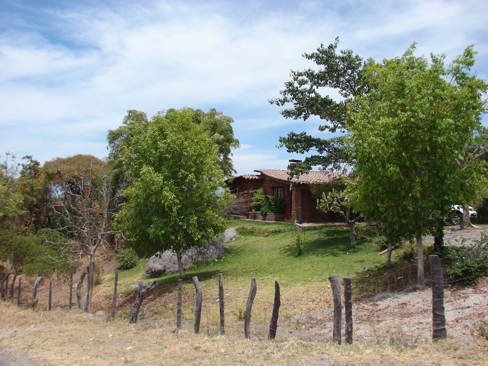 Photo 11