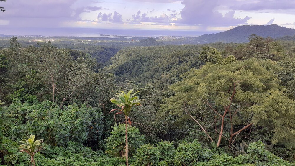 Dave Parker's Eco Lodge