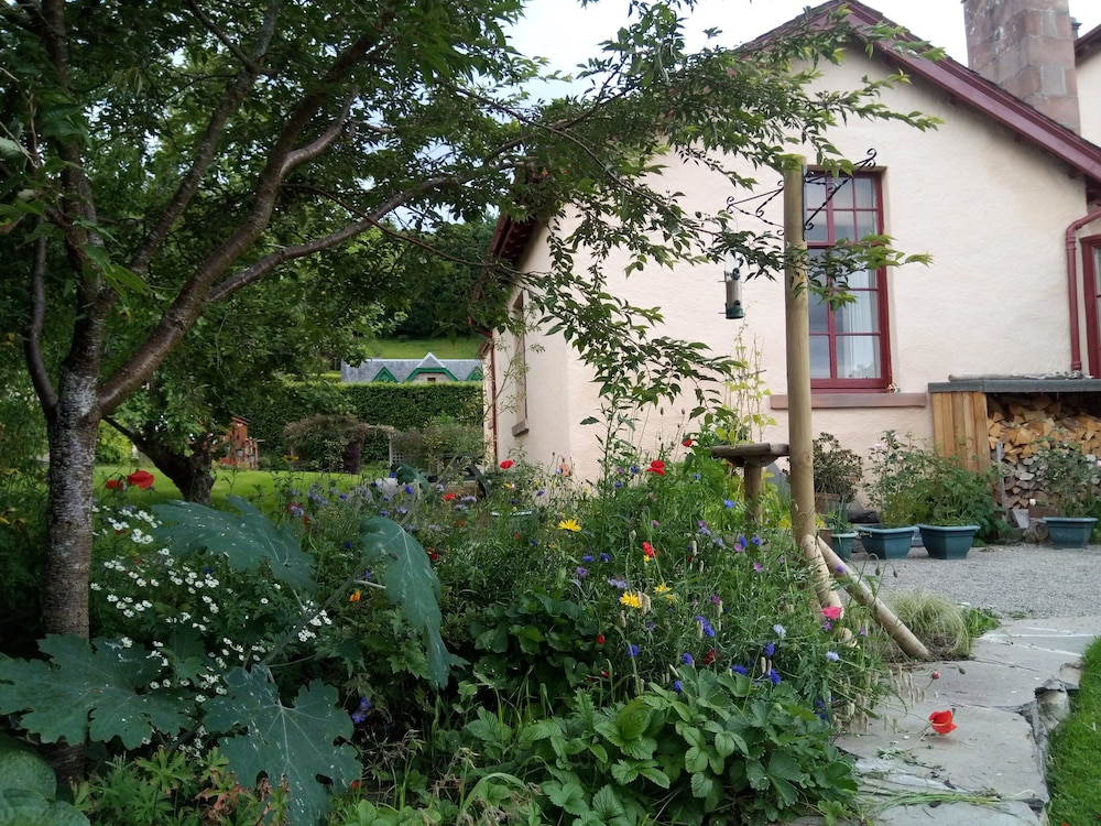 Photo 33