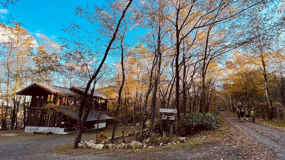 Photo 28