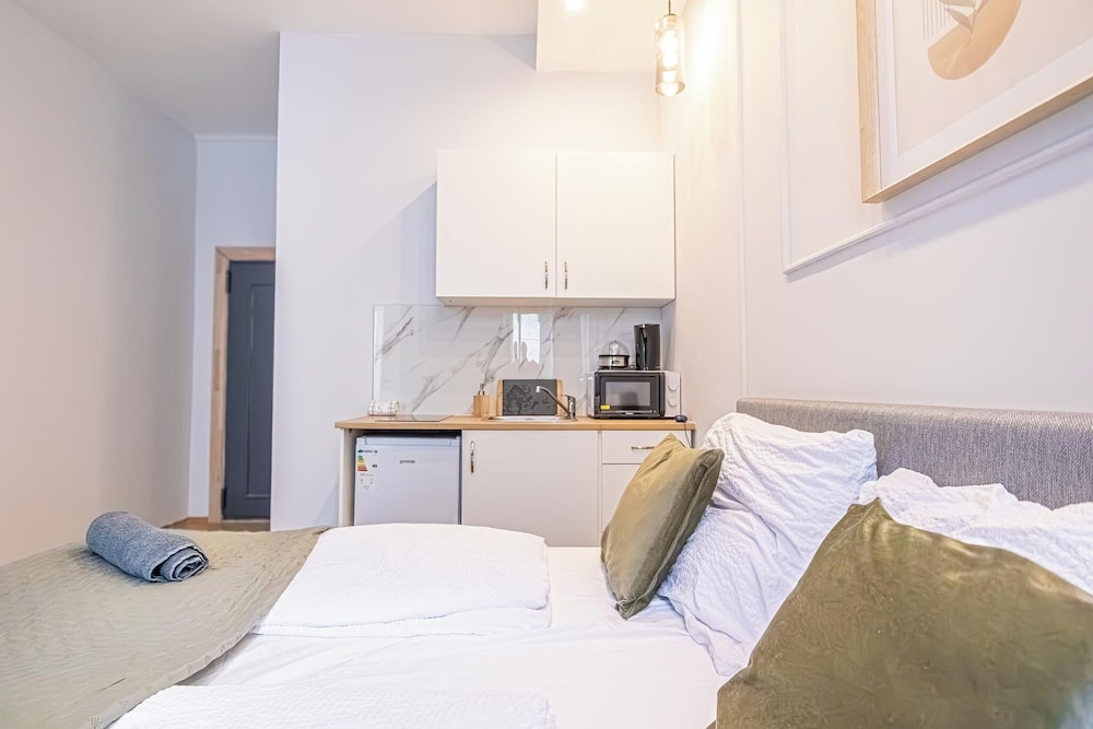 9BR Apts in the Heart of Vienna