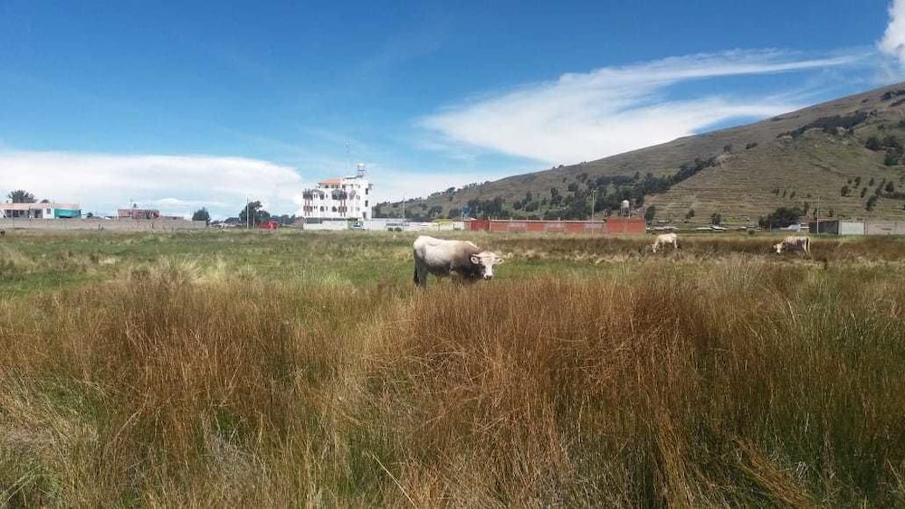Hostal Campestre Casa Blanca