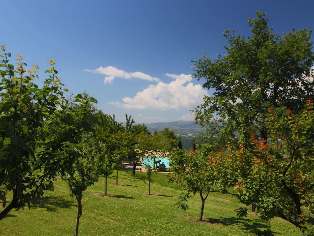 Farmhouse in Loro Ciuffenna With Pool & Garden view 4