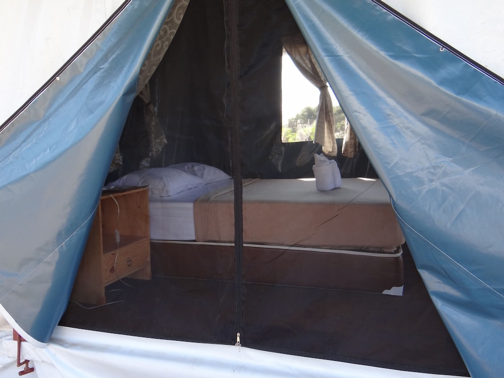 The Camping Field