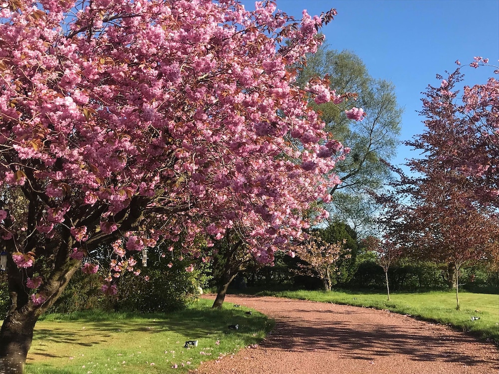 The Beeches B&B