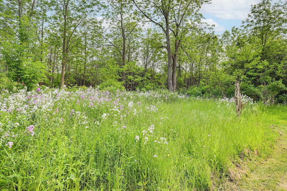 Swim & Sip: Creative Retreat 2 Mi to Owasco Lake