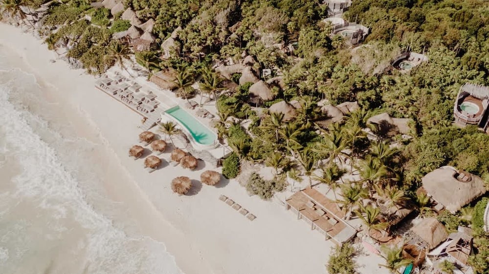 Luxury Jungle Retreat Sleeps 10 Rooftop Pool