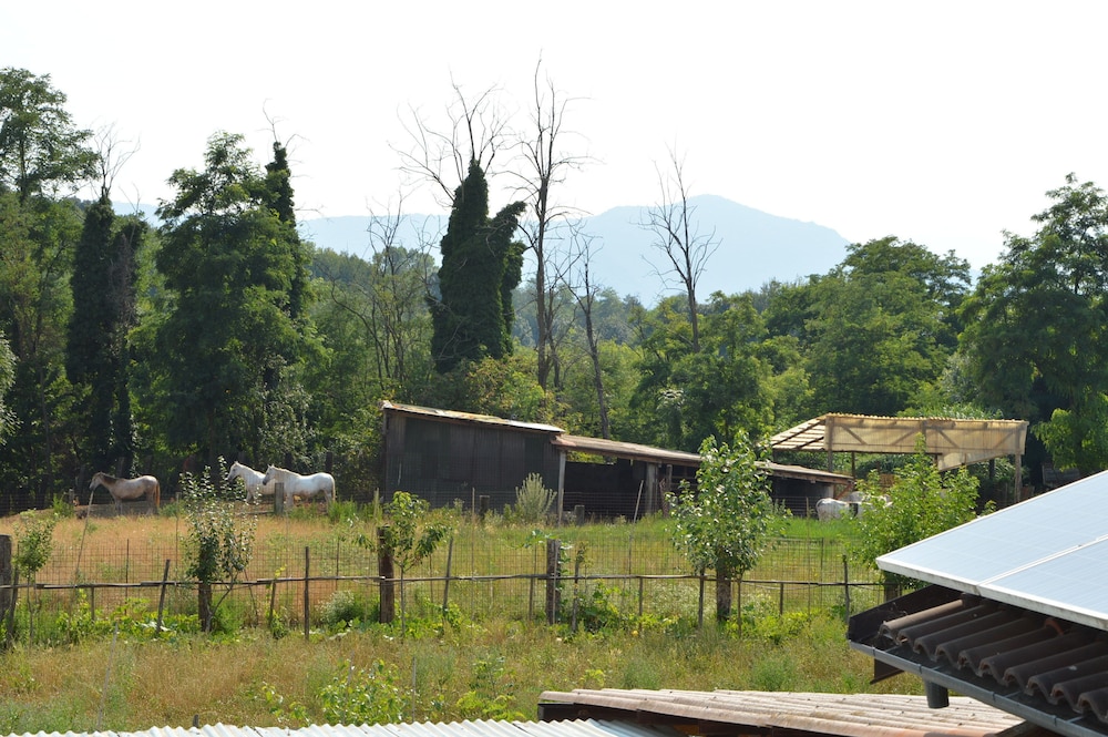 Agriturismo Cascina Scola