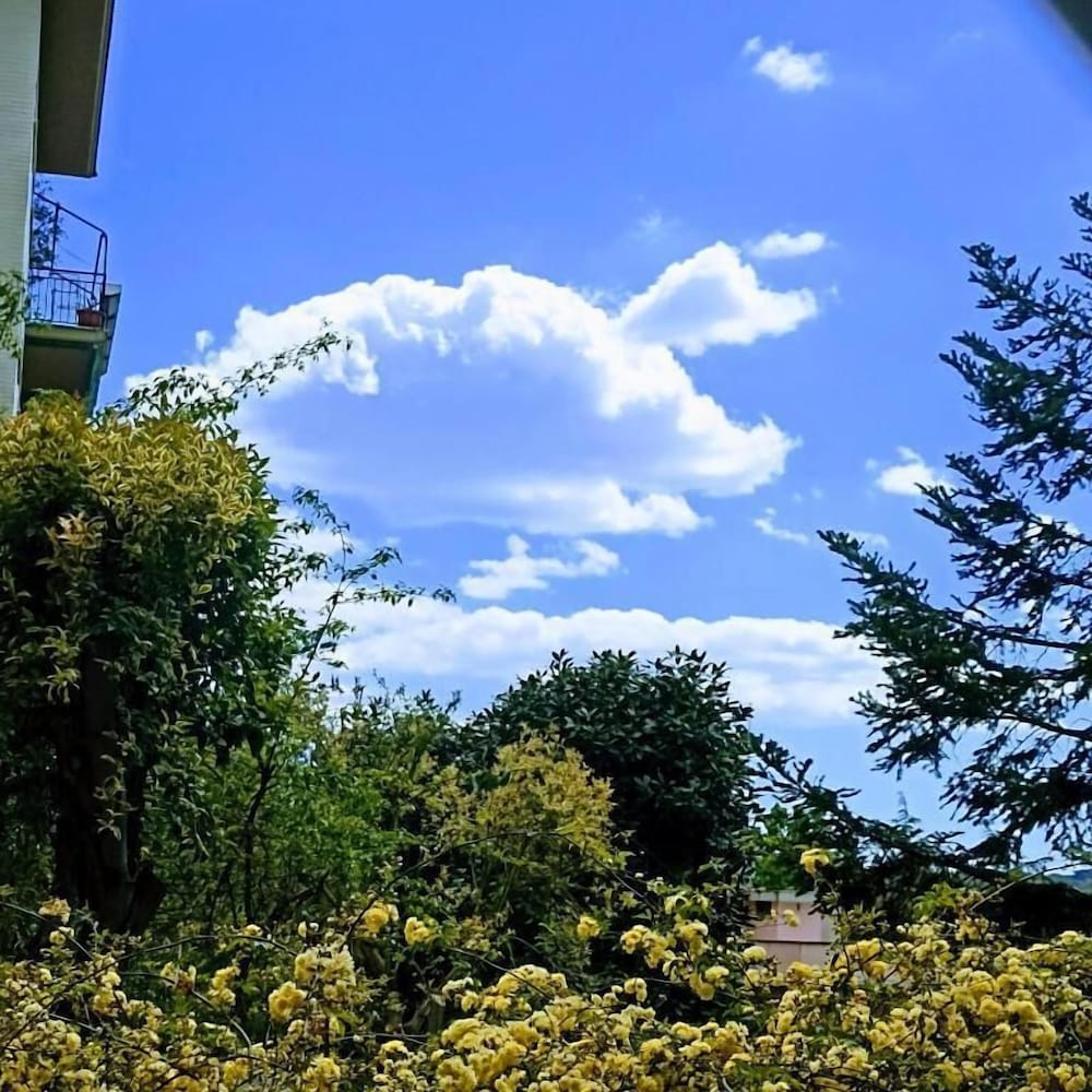 Ripe's Forest Garden Guest House — Rome photo 5