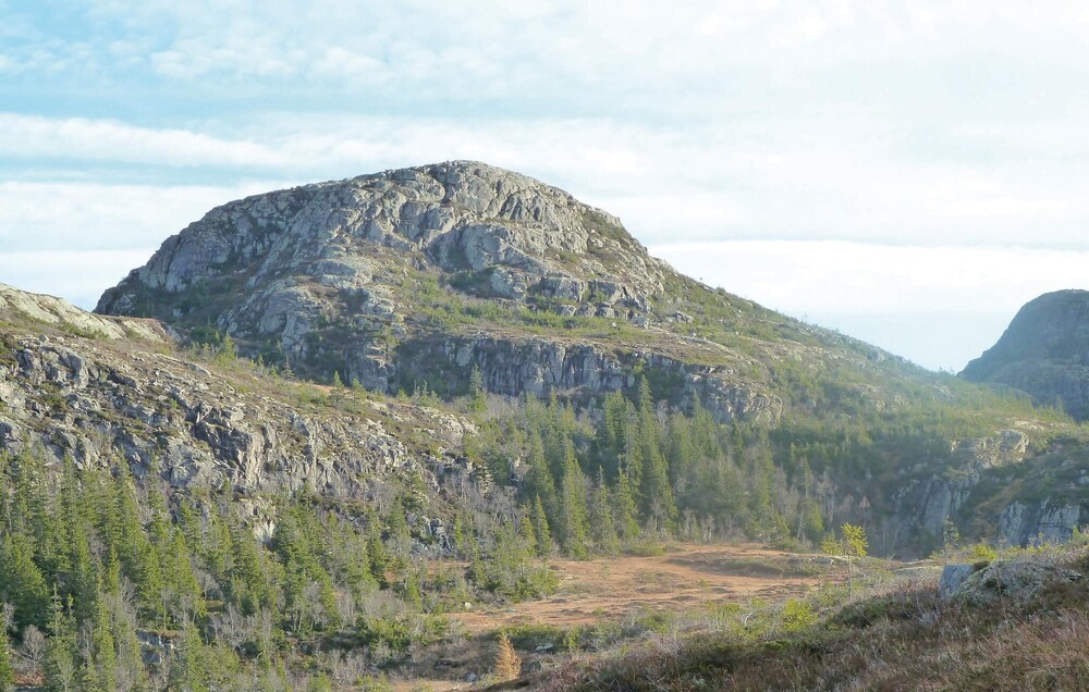 Photo 25