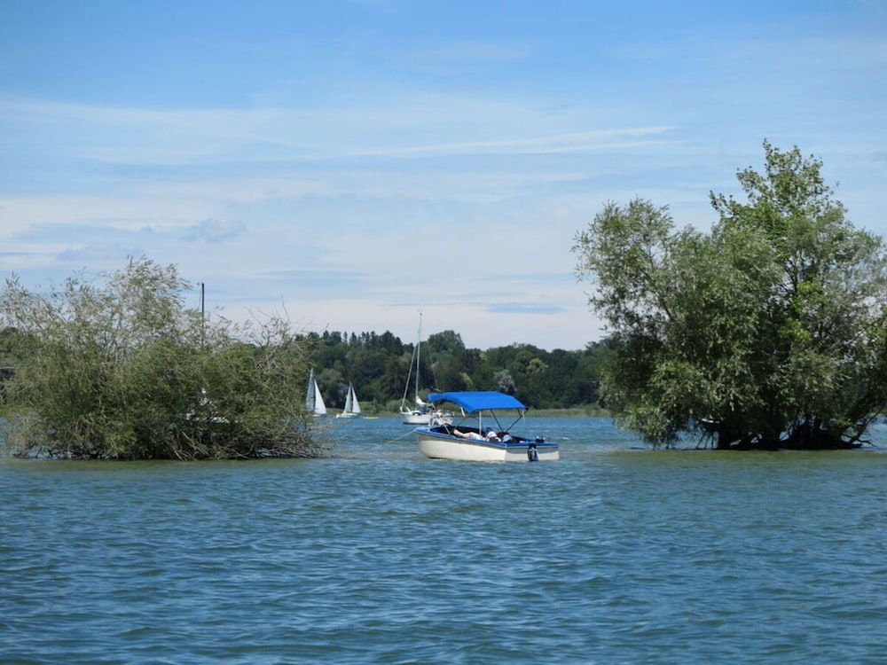 Dennenboomdroom