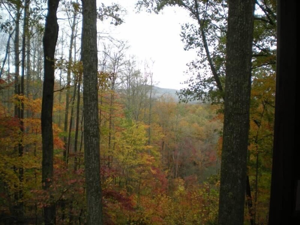 Turkey Feather Nevaeh Cabin Rentals