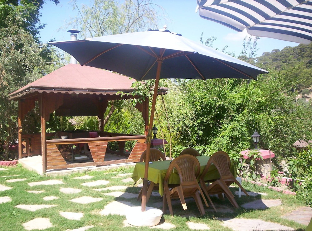 Photo 12
