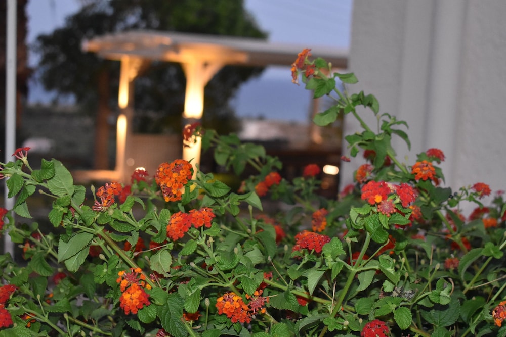 Asteras Apartments