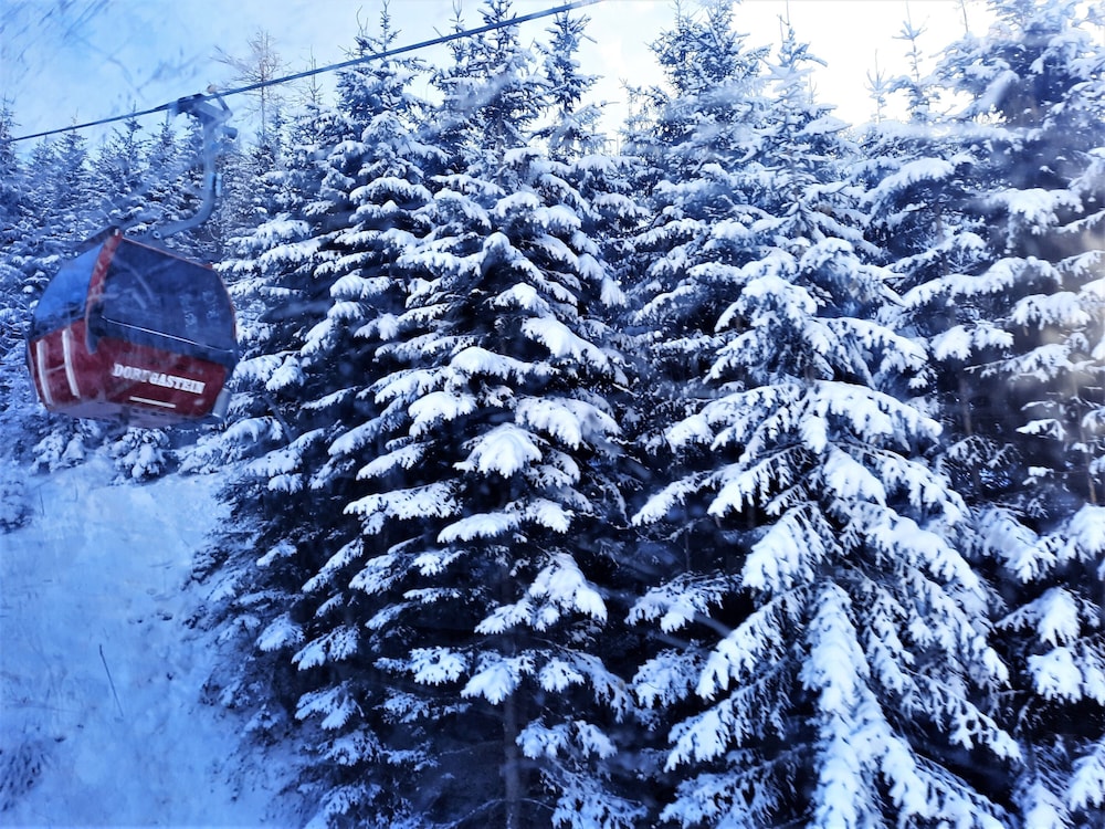 Pension Posauner Dorfgastein