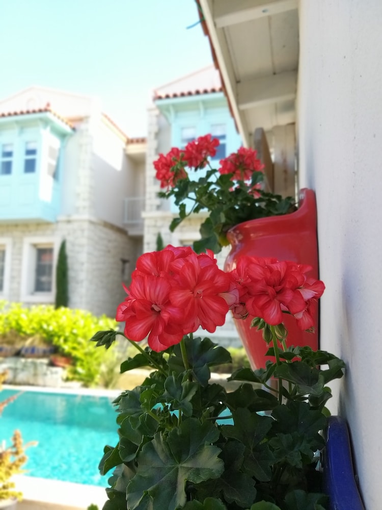 Cassiopeia Hotel Alacati - Image 9