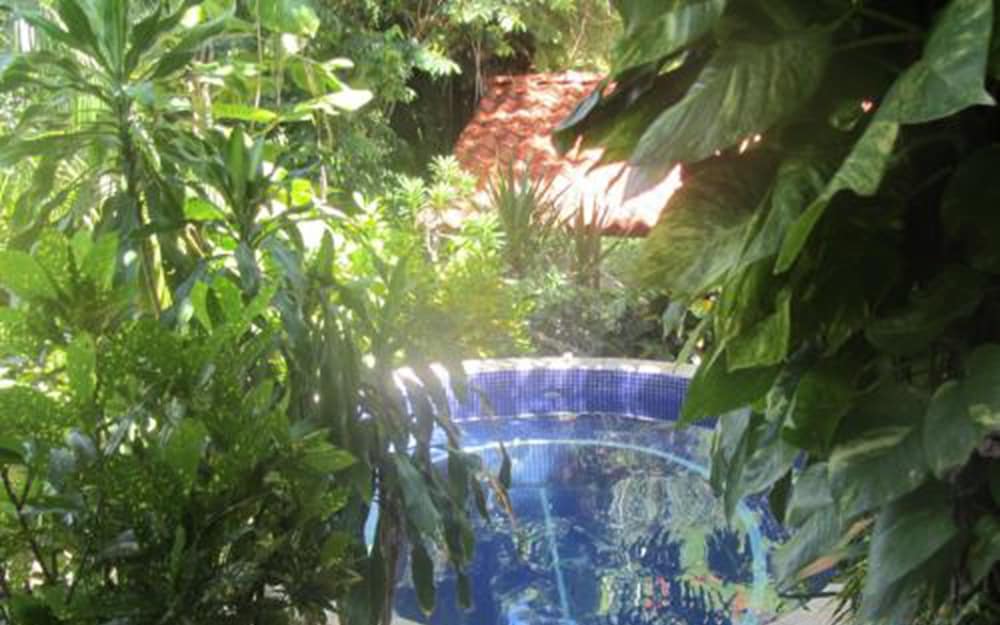 Hotel Belvedere - Property Image 6