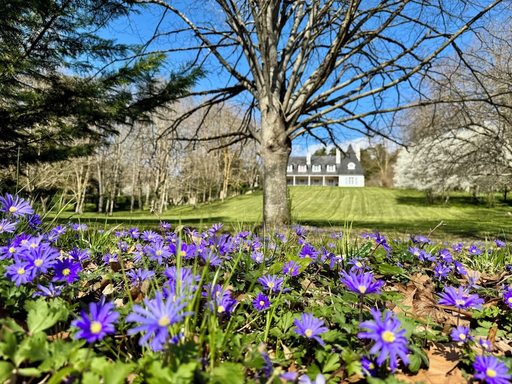 Domaine de Bize Manoir & Appartements, fotografía 2