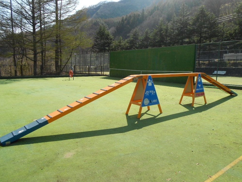 Photo 8