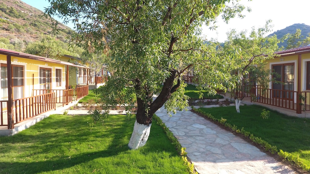 Photo 32