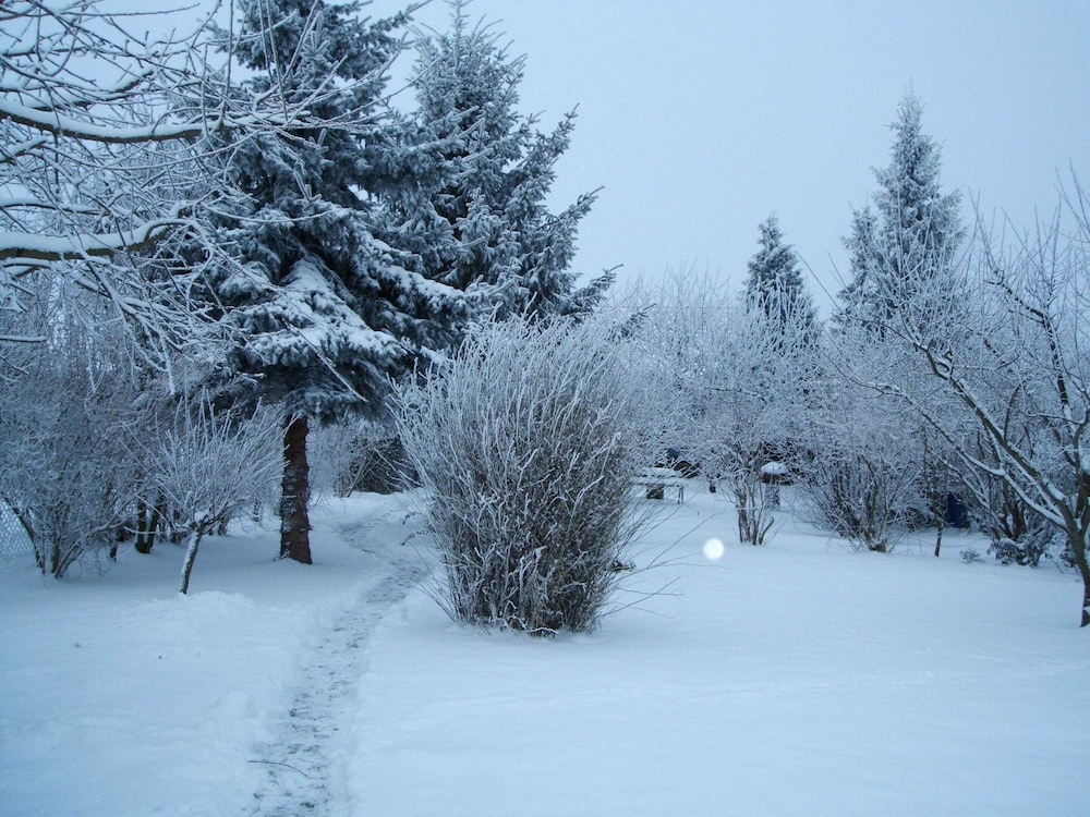 Photo 27
