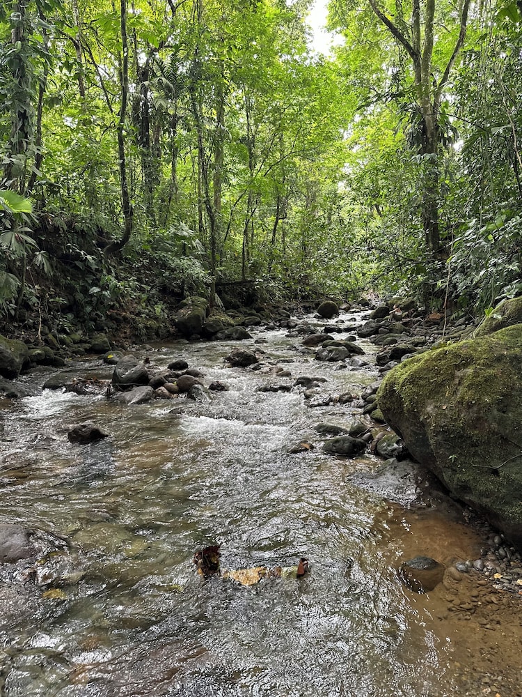 La Fortuna